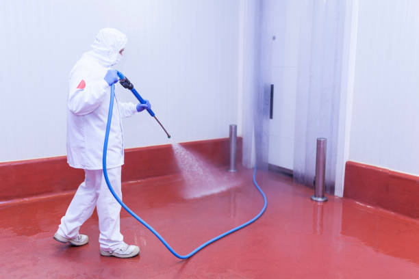 Reliable Euless, TX Pressure Washing Services Solutions